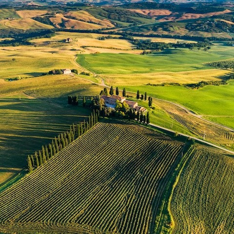 将来の選択肢を拡げるワインの選び方